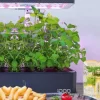 12Pods Indoor Herb Garden